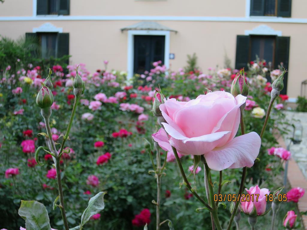 Hotel Kalehan Selcuk Exterior photo